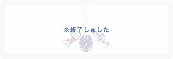 ノジマステラ神奈川相模原